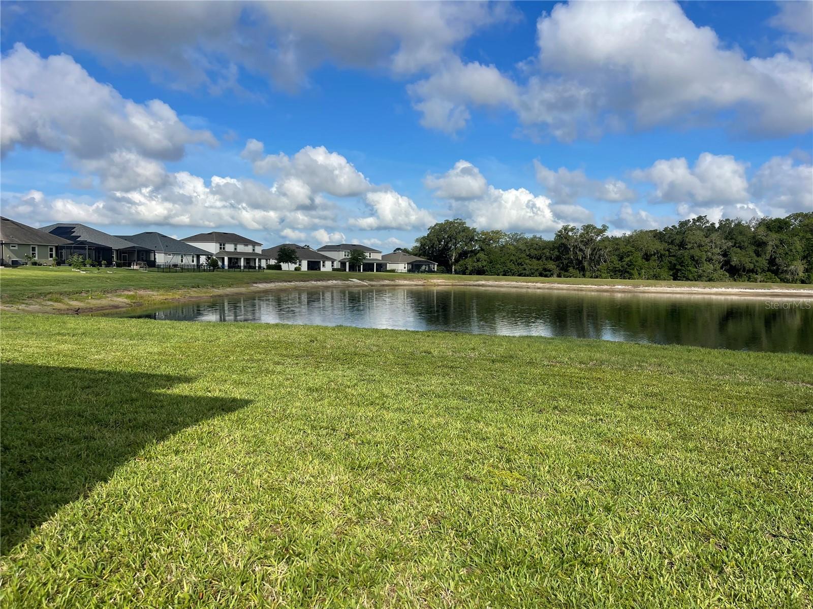 Pond