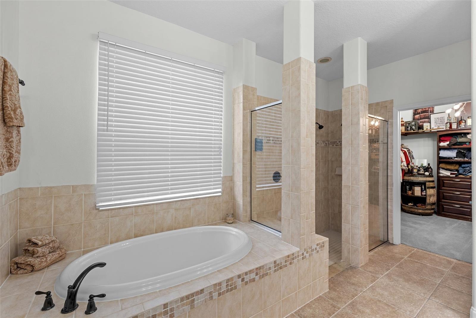 Spa-style primary bath with soaking tub and separate shower.