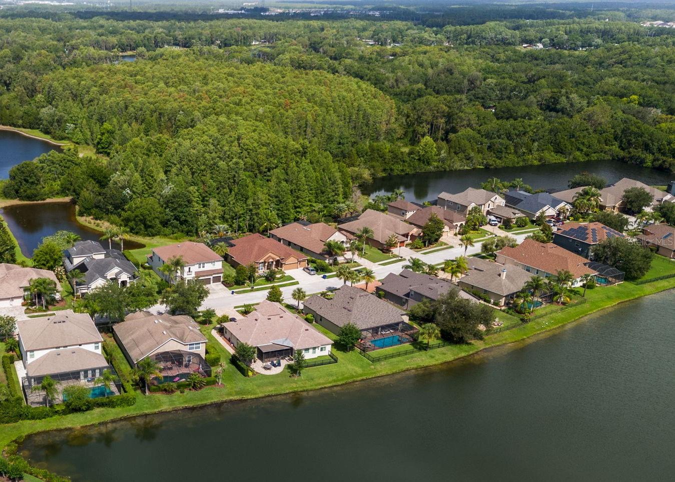 Aerial view showcasing the pond-front setting and natural backdrop.