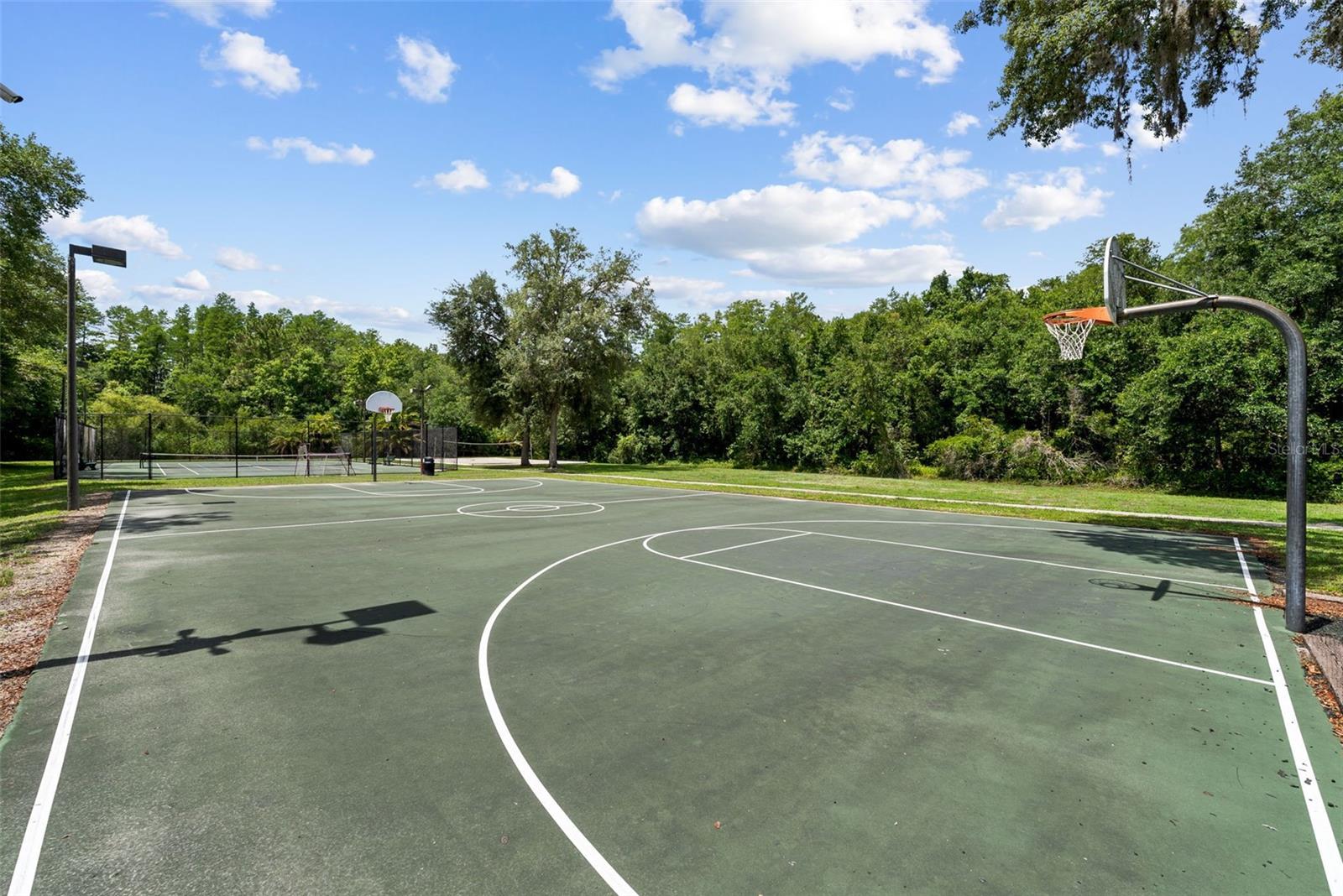 Community basketball court surrounded by green space.