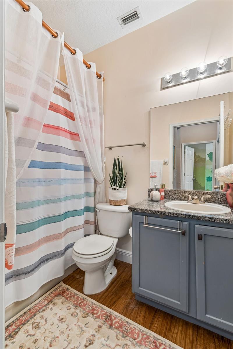 GUEST BATHROOM FIRST FLOOR HALLWAY