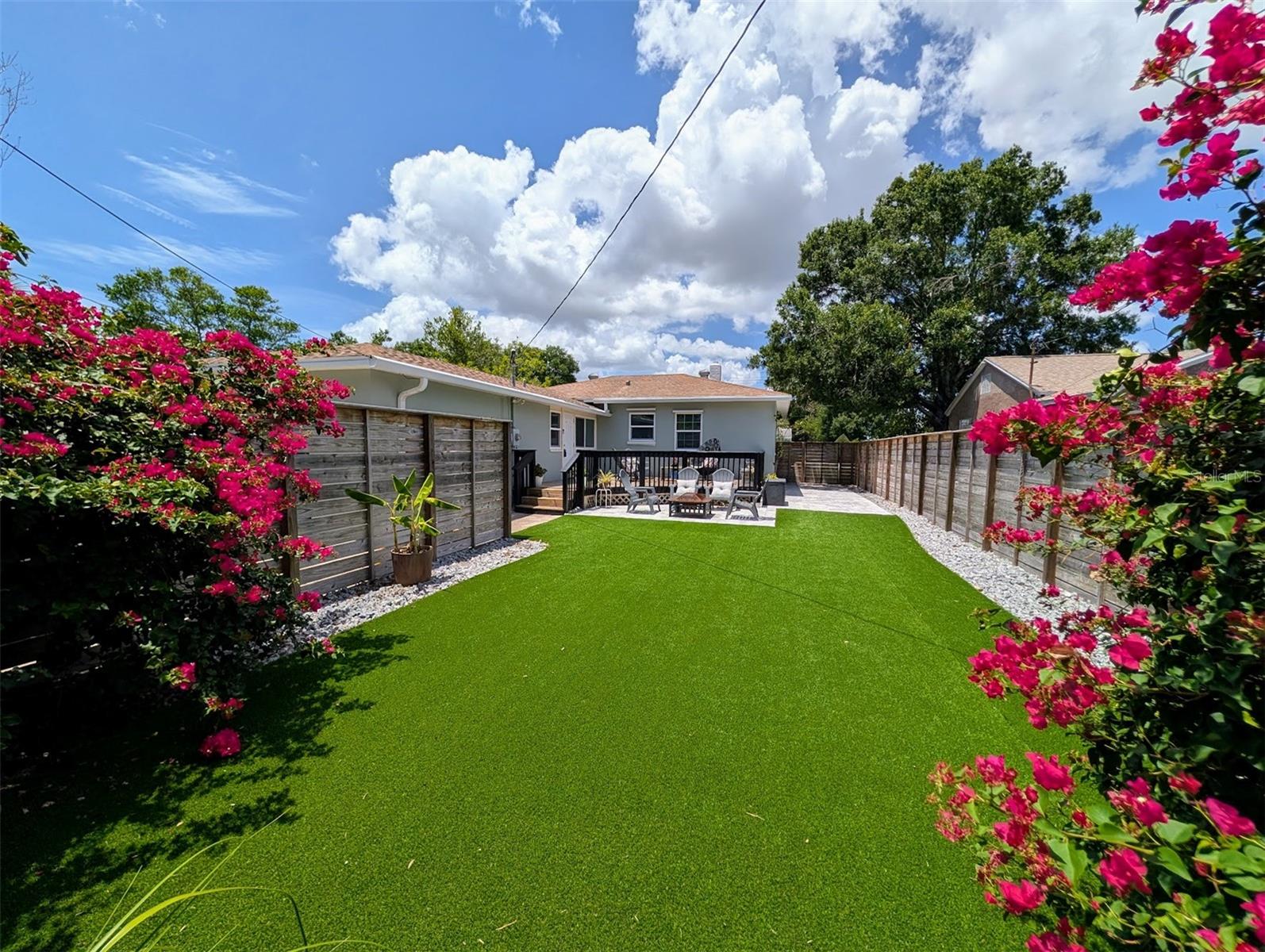Backyard
