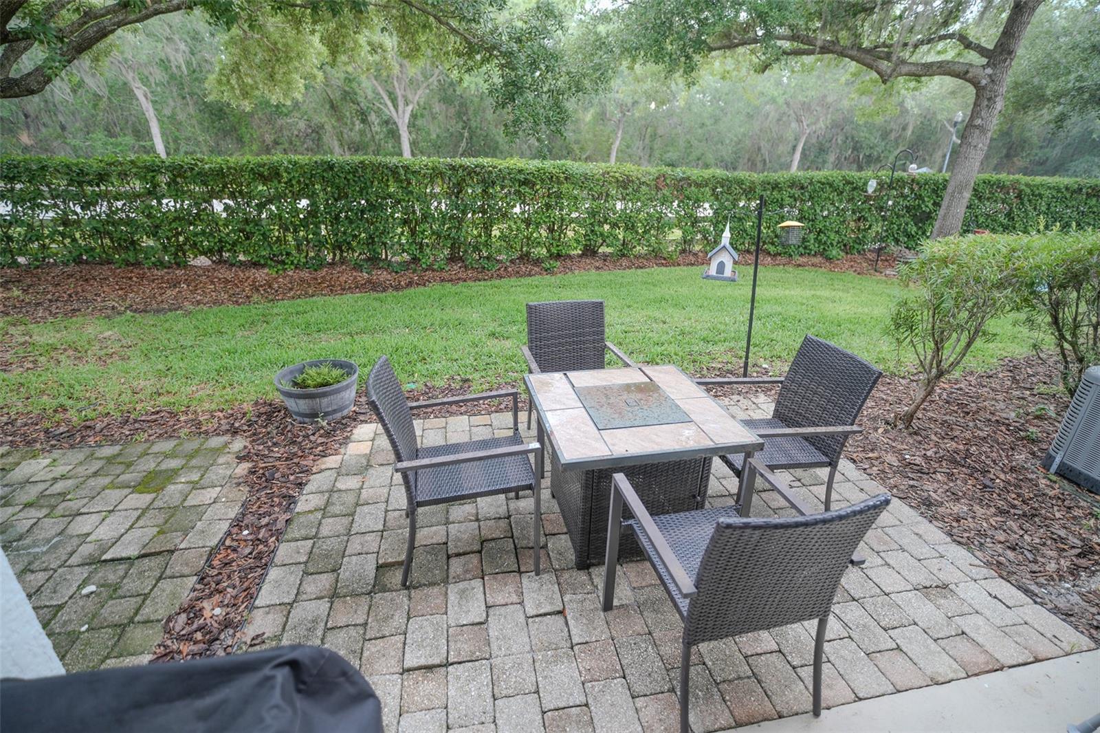 Back Patio