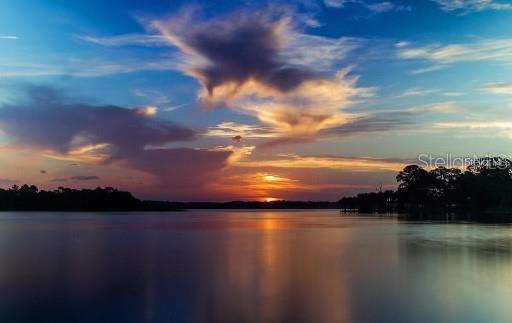 Lake Tarpon Sunset