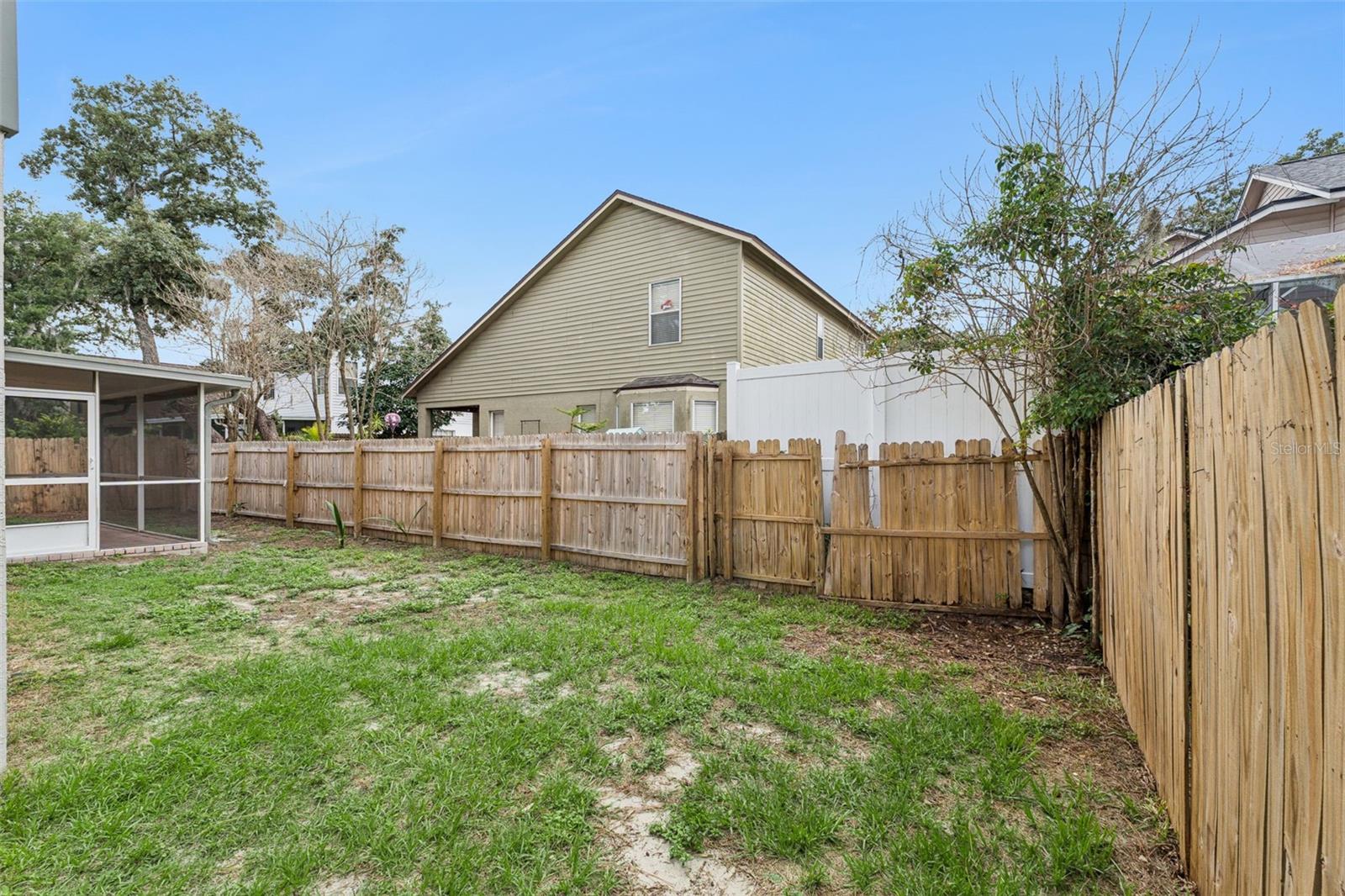 Back Yard