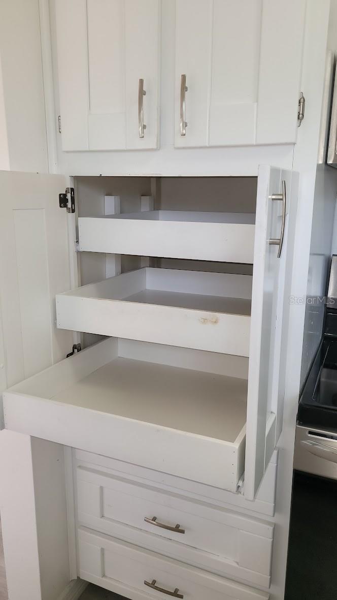 kitchen Pantry with pull out drawers