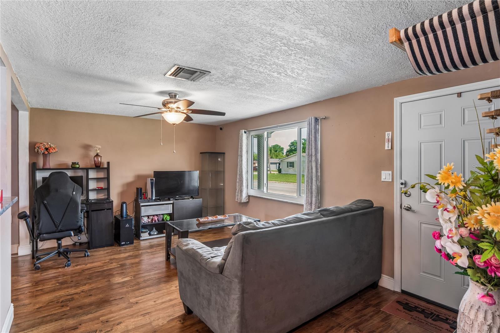 Entrance / Living room