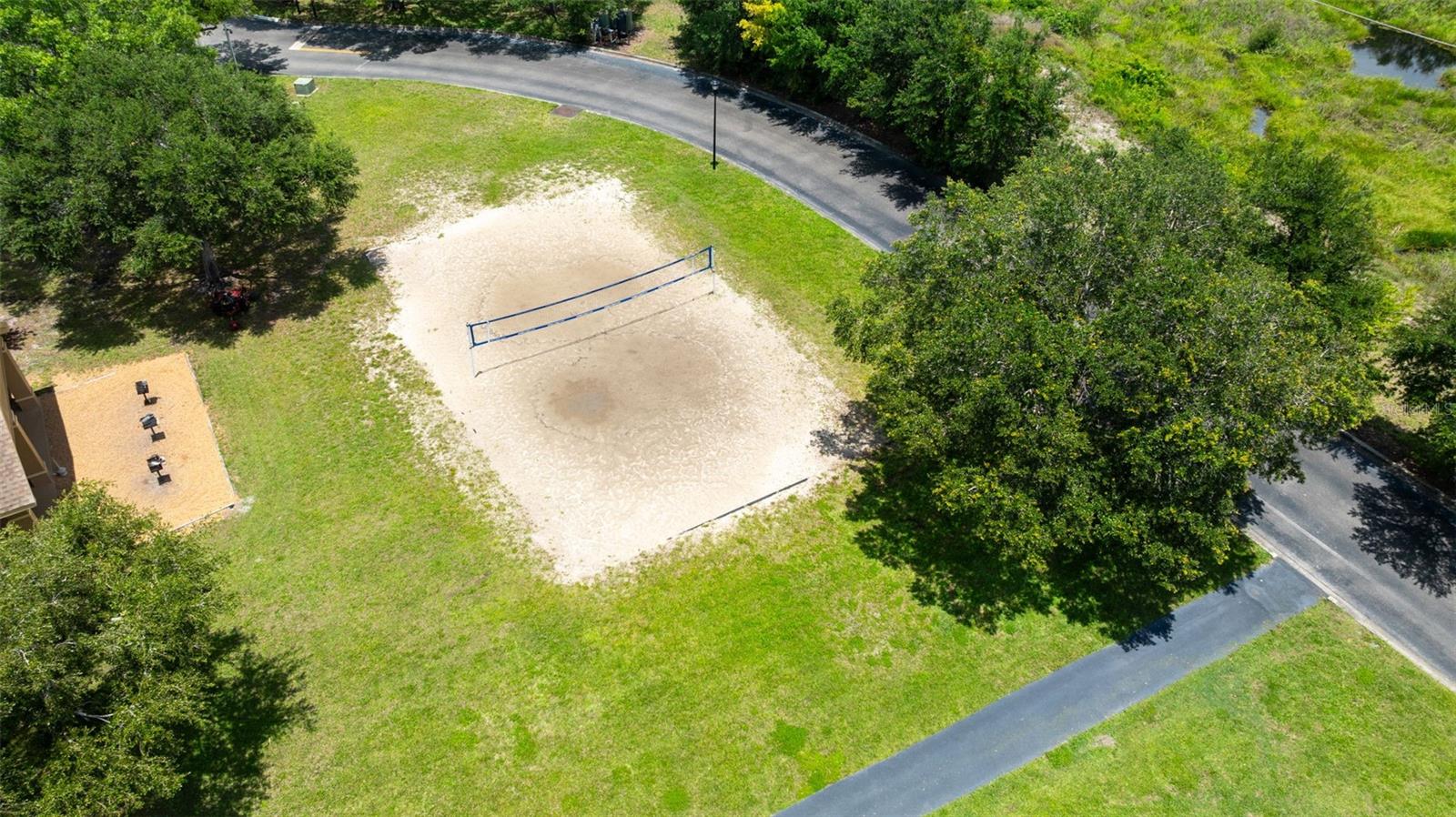 TB8513981