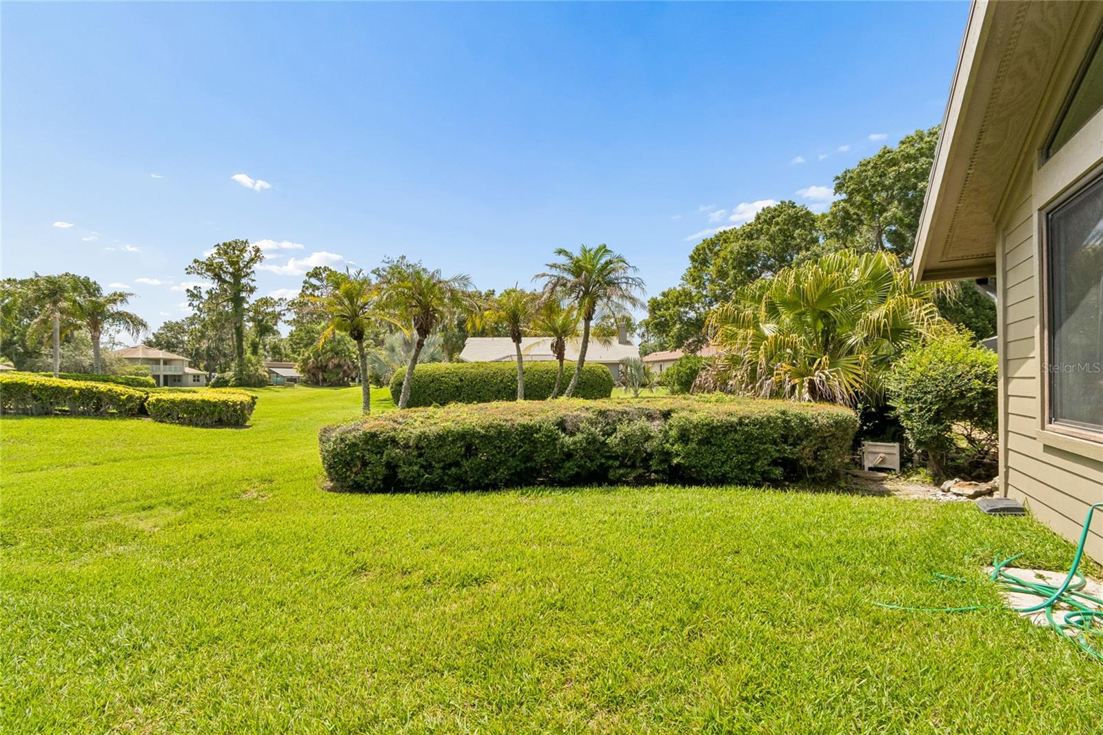 Side Yard
