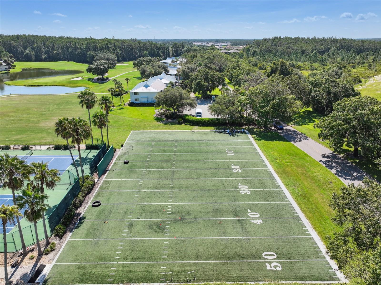 Play Field