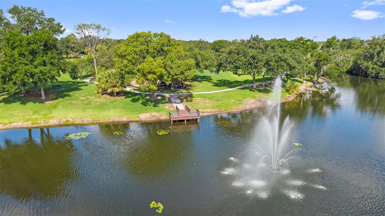 Local park behind the neighborhood