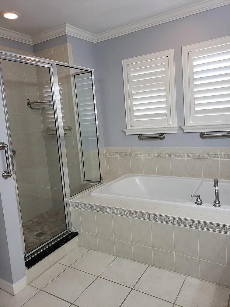Primary Bathroom Shower and Tub