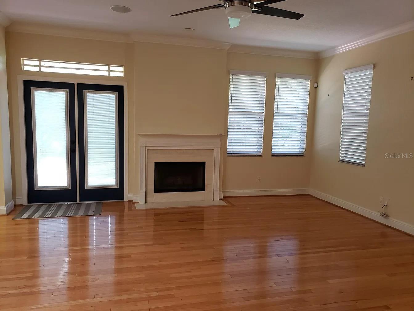 Living Room Fireplace