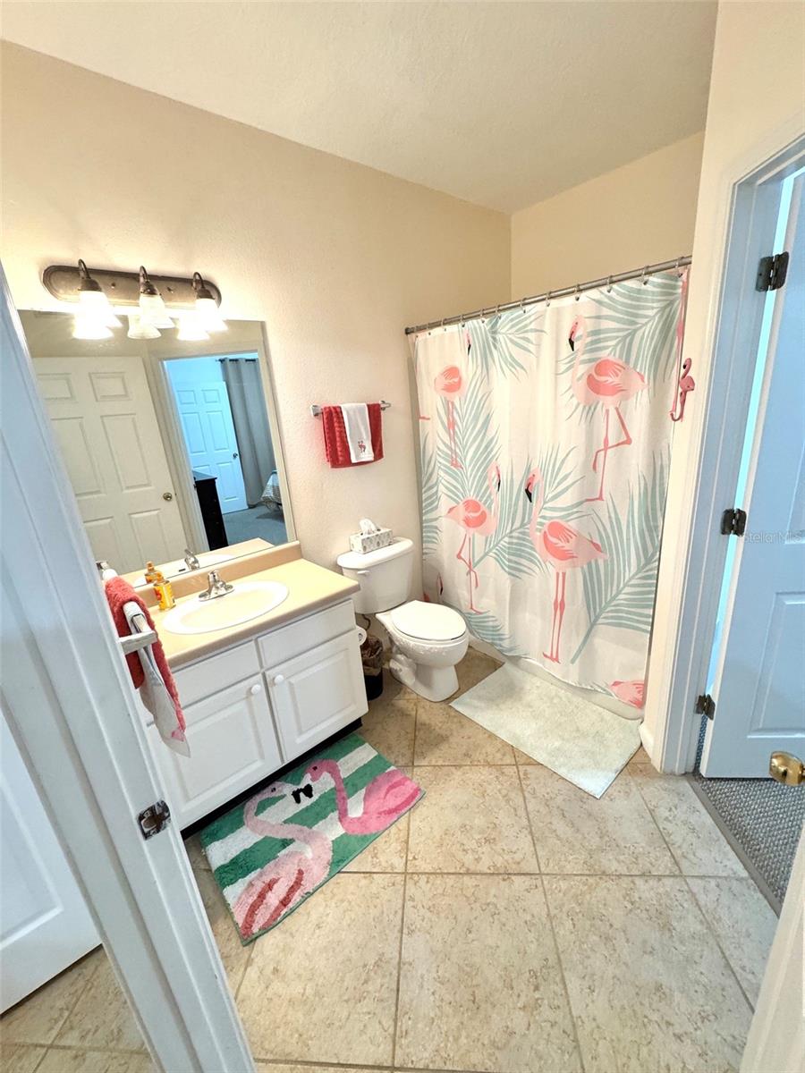 Guest bathroom