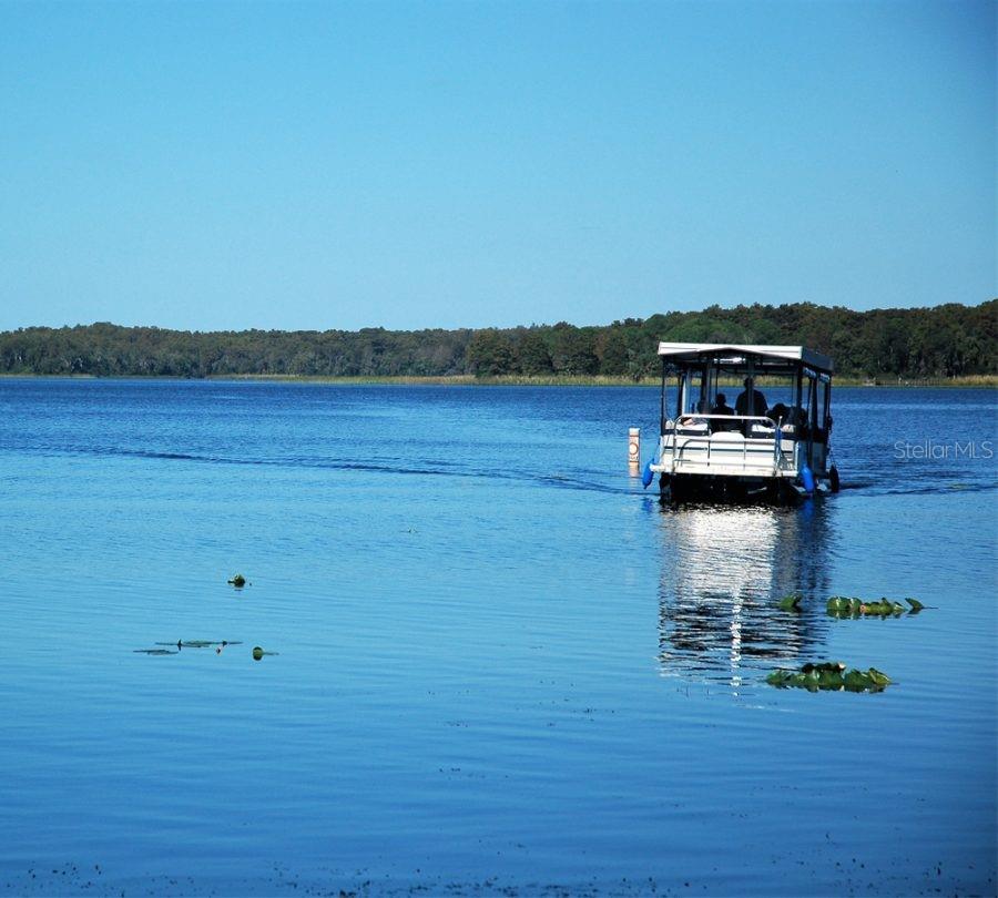 Lake Tarpon