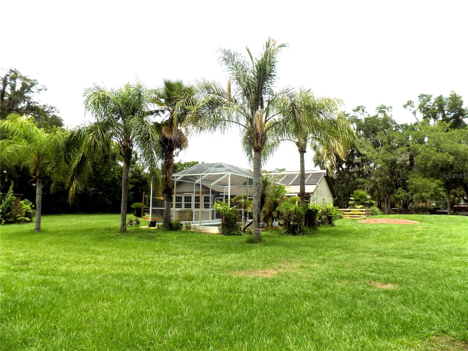 Yard / Home