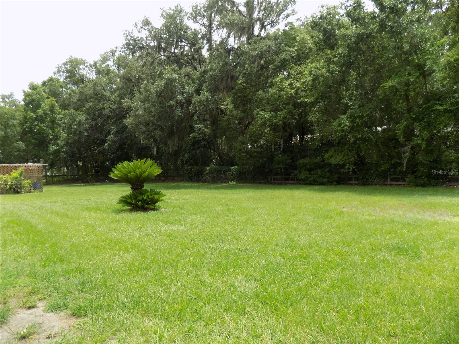 Yard