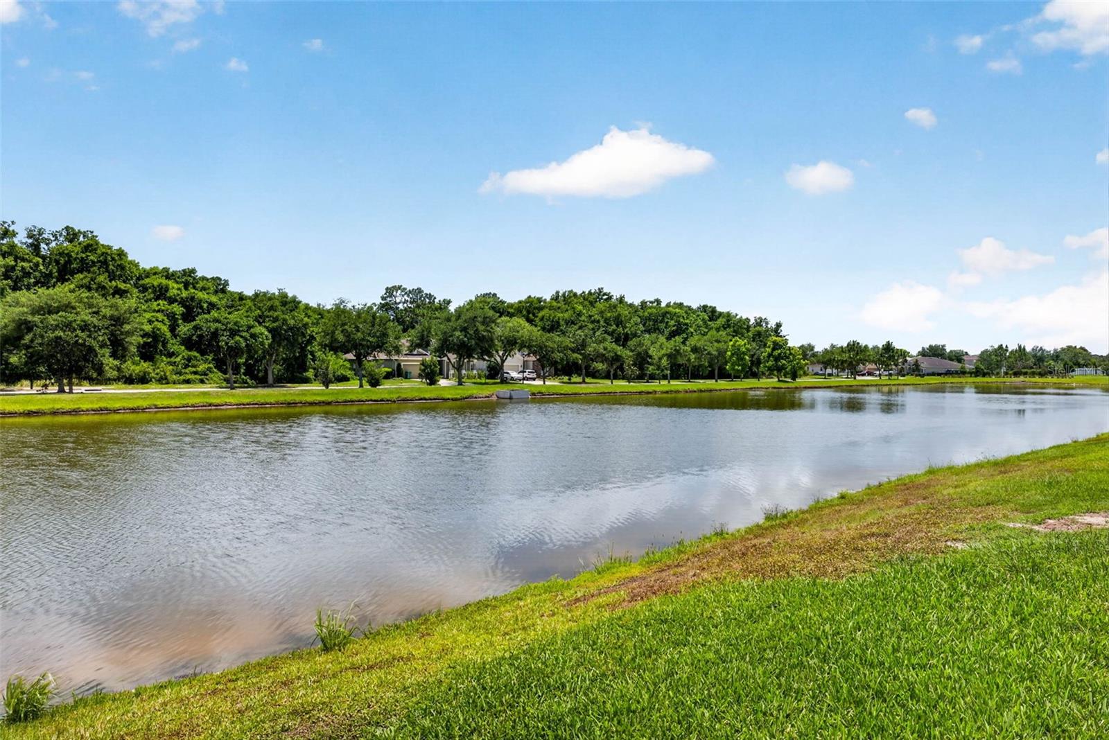 Pond views