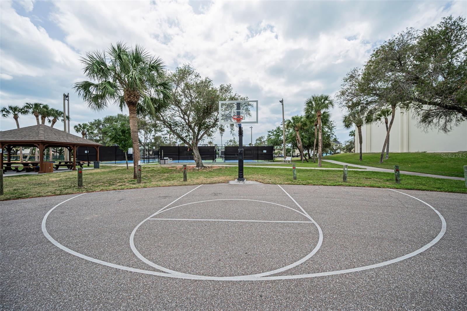 Basketball Court