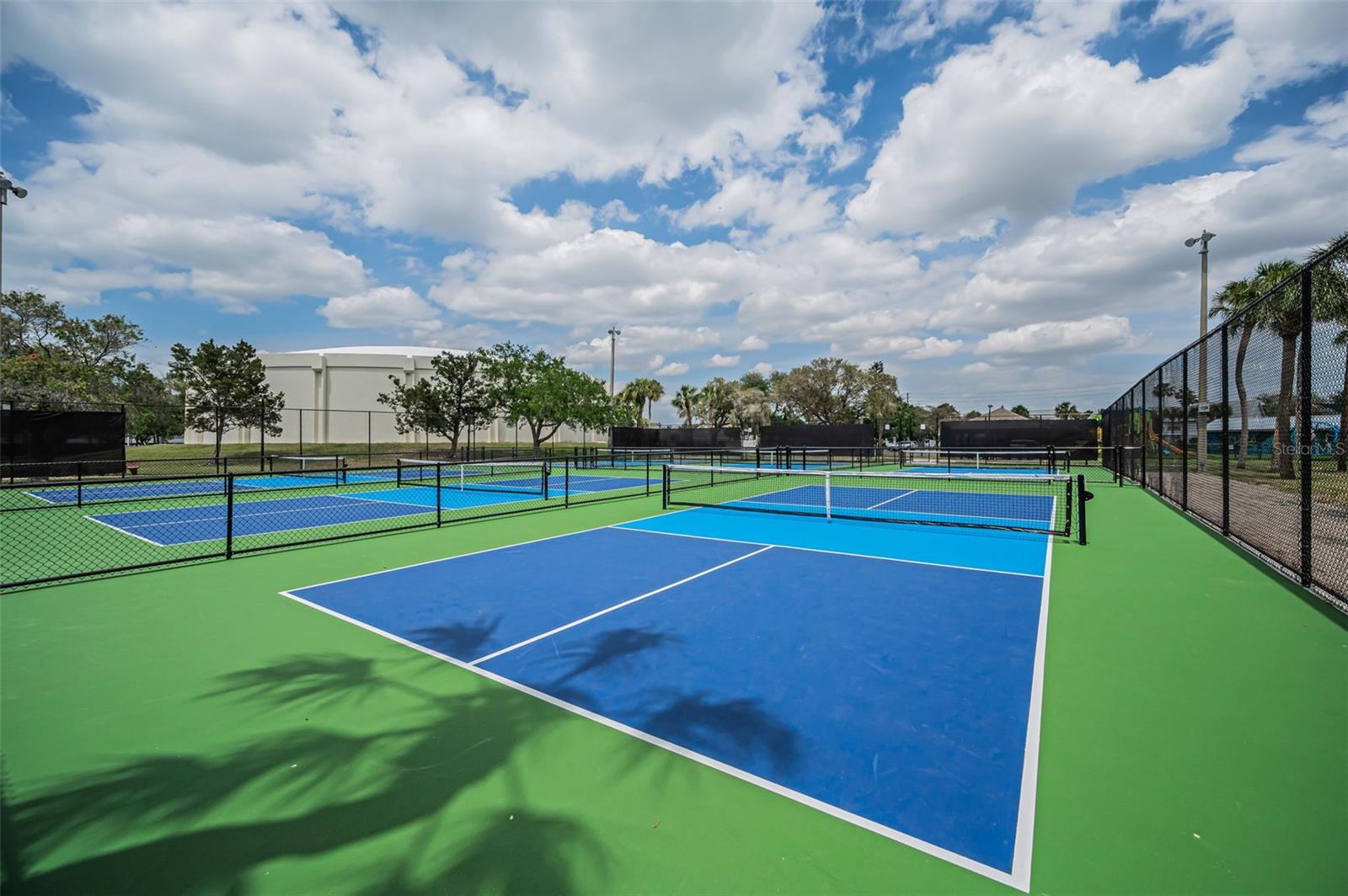 Tennis/Pickle Ball