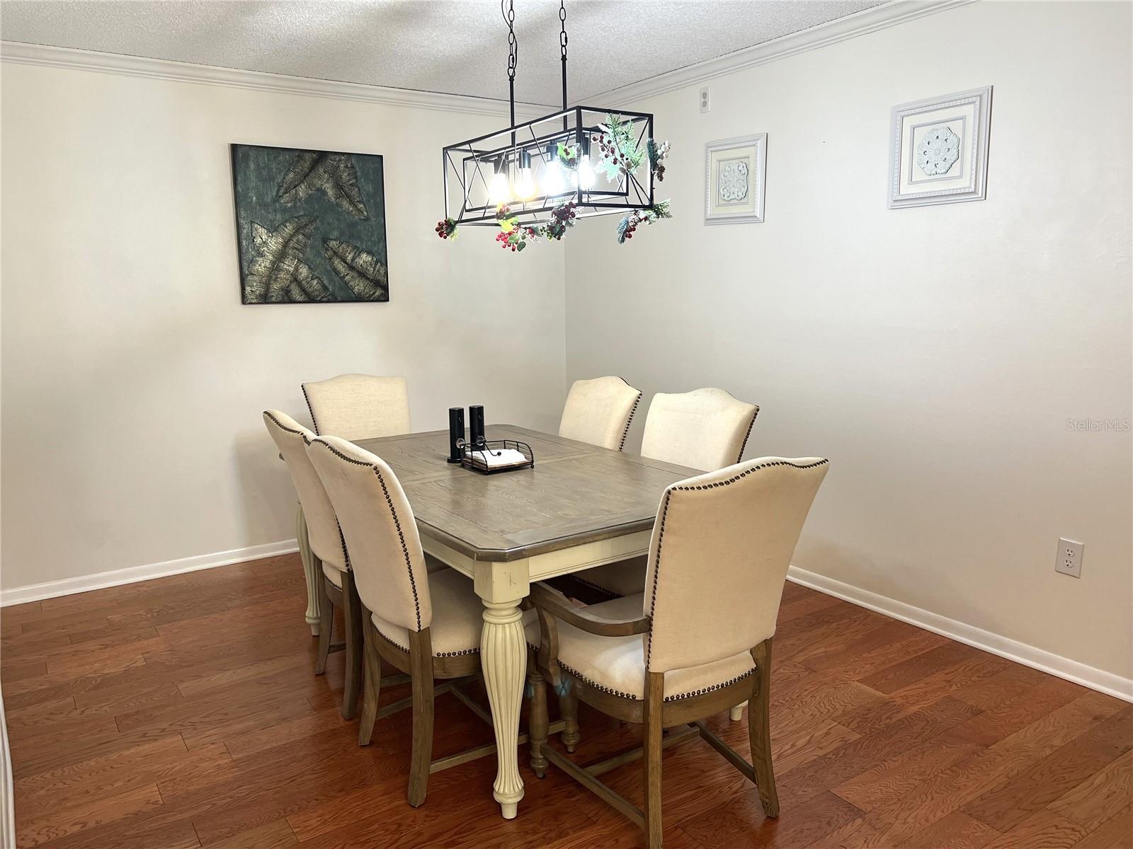 DINING ROOM WITH MODERN FIXTURE