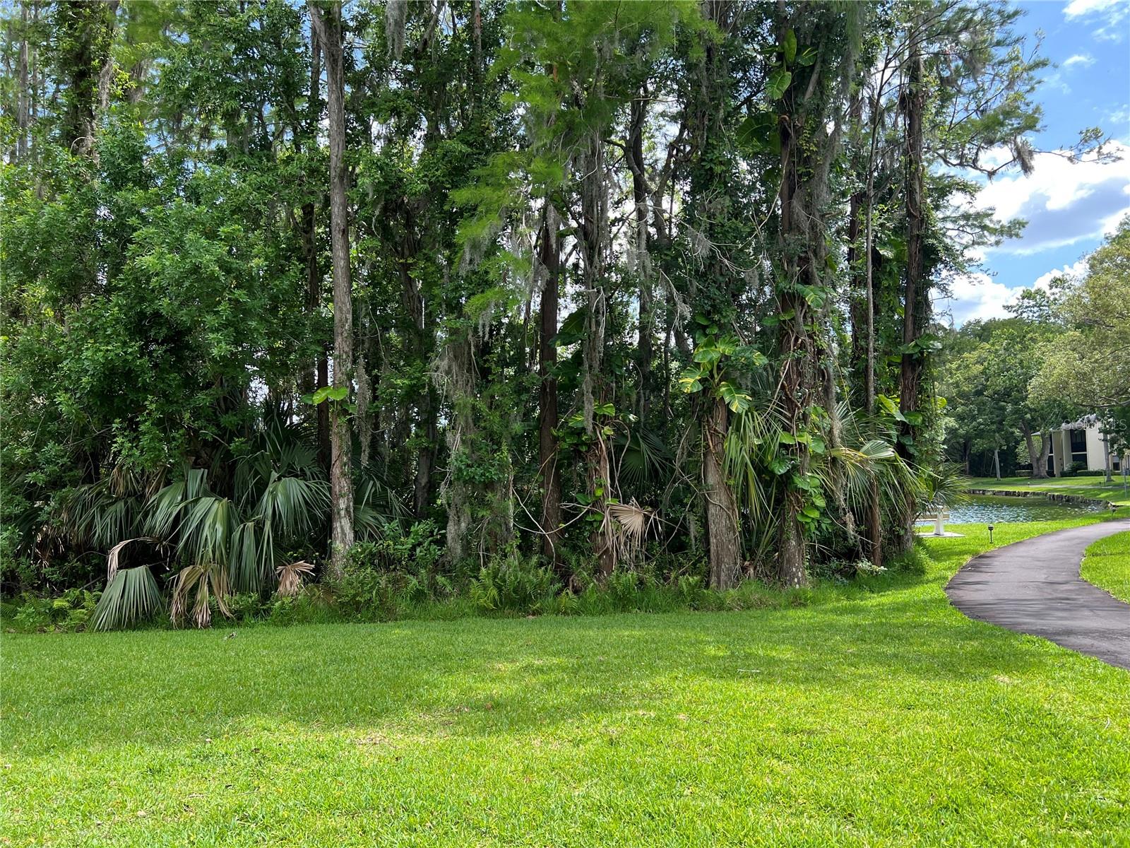 BEAUTIFUL WOODED AREA IN FRONT O
