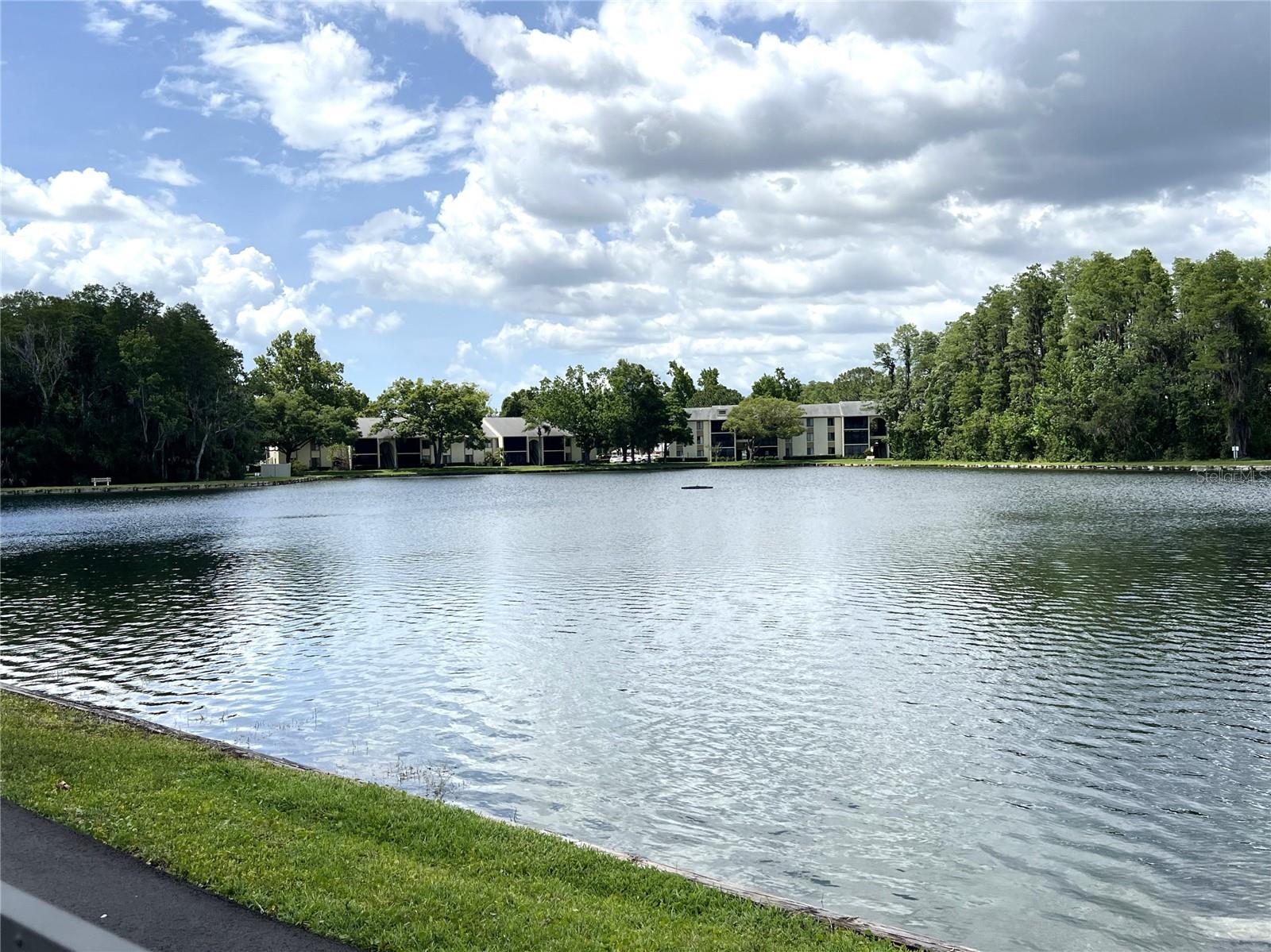 POND