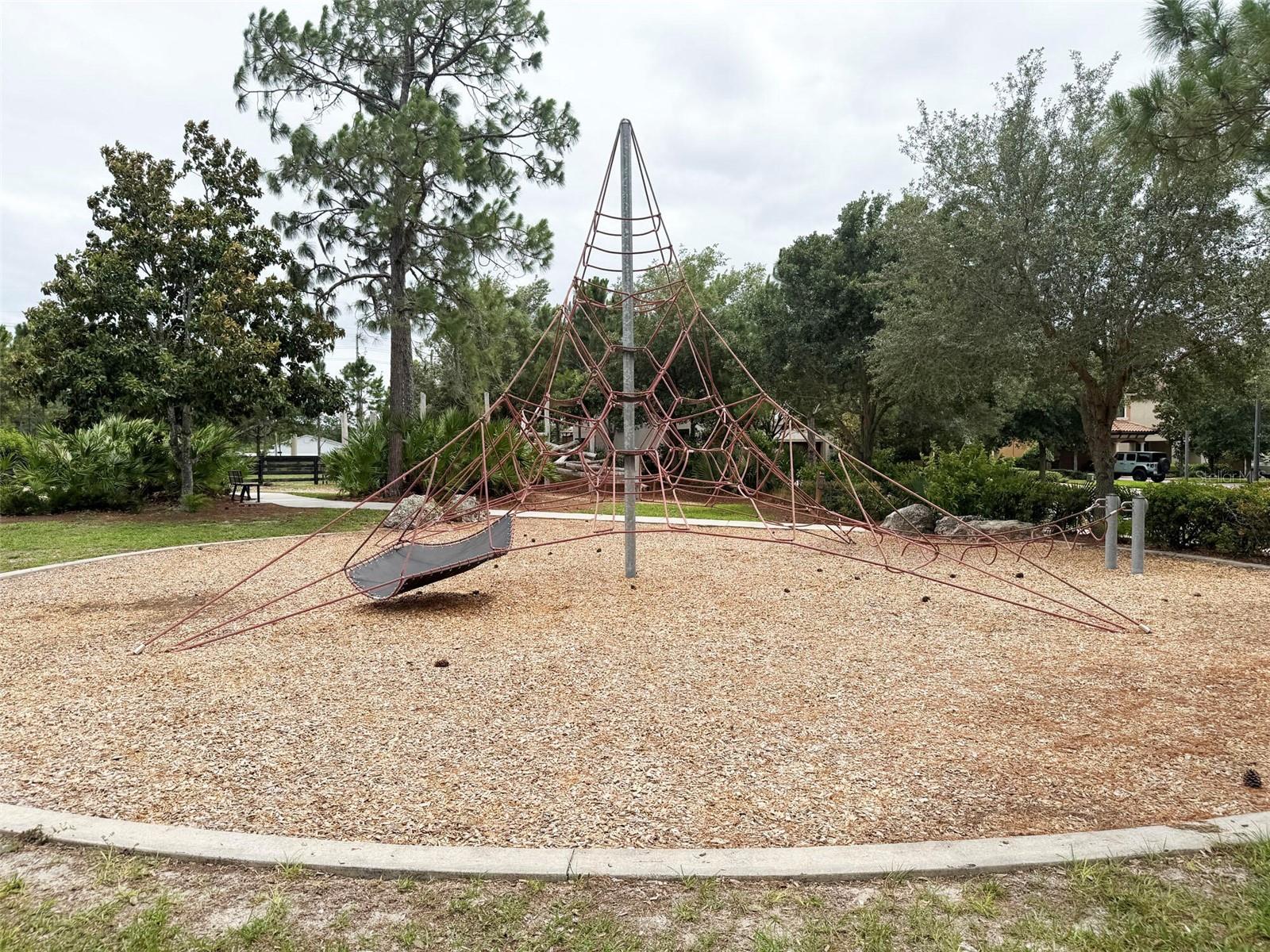 O6412573