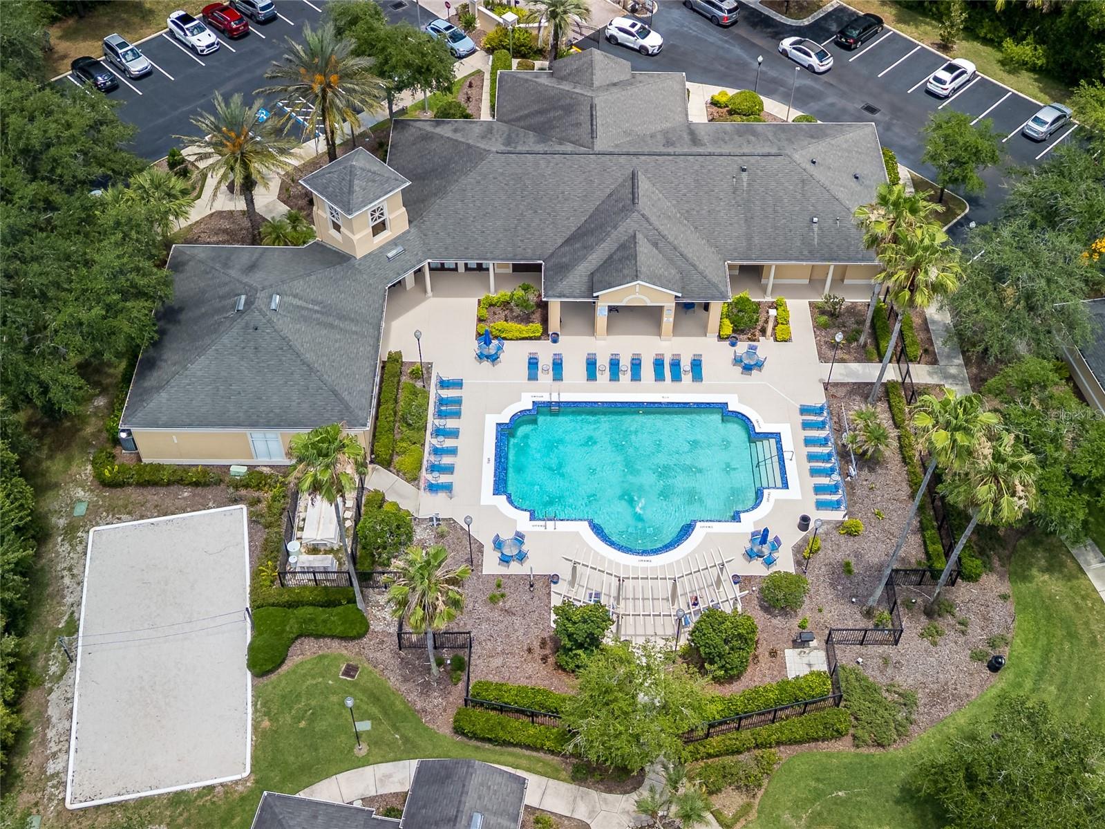 Community Pool at Oxford Place in Tampa Palms