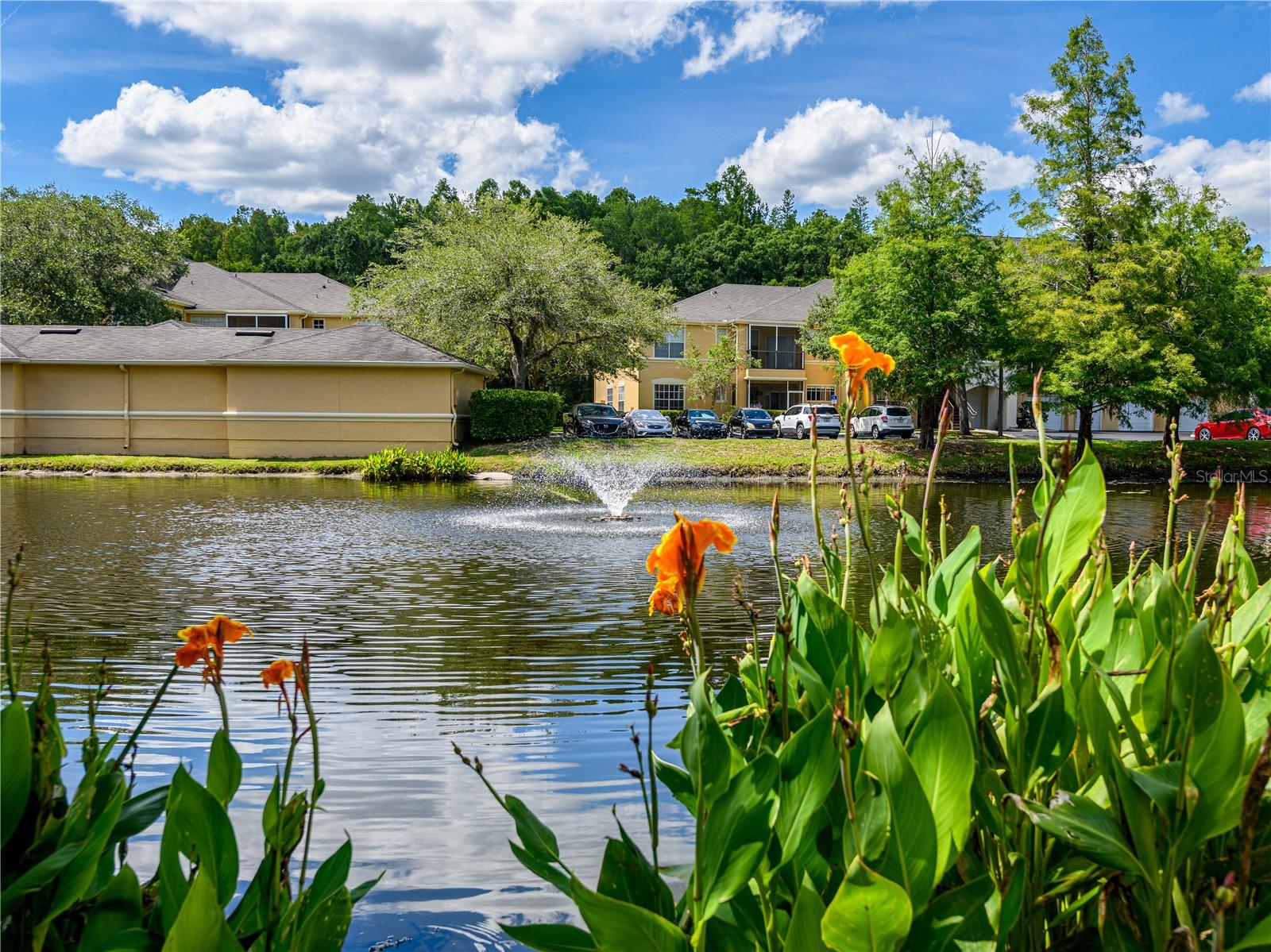 pond with water feature in Oxford Place