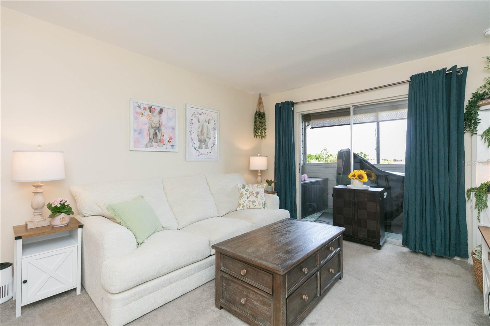 Living Room & Balcony