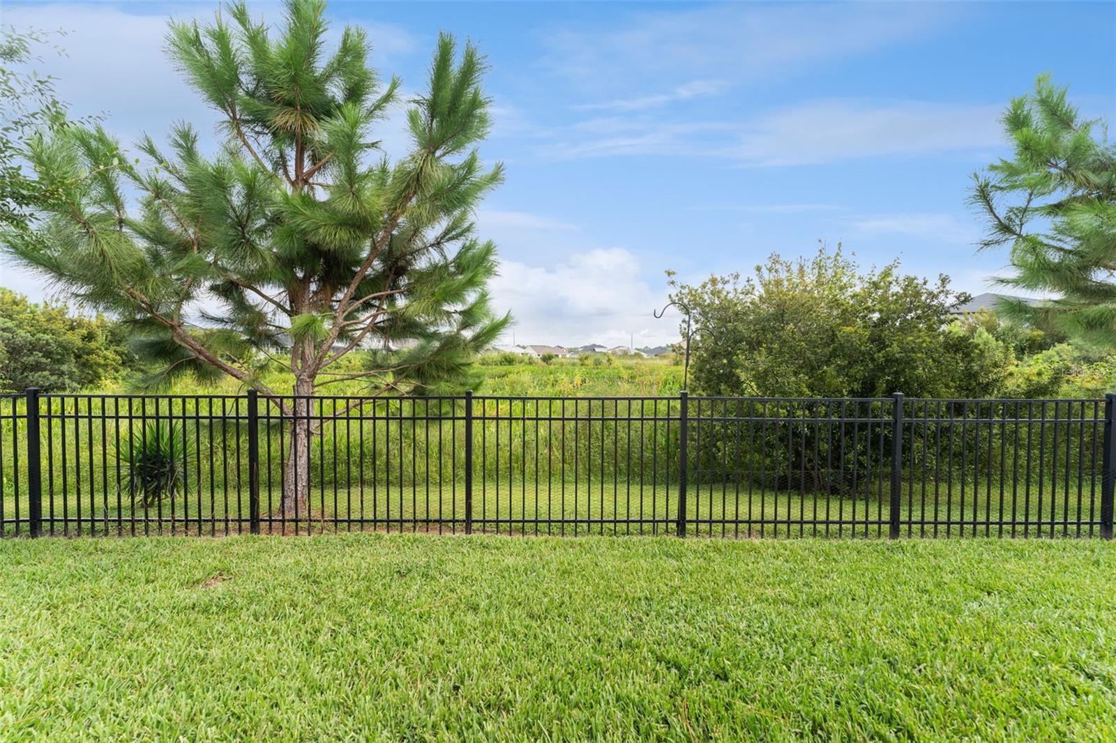 Fenced Back Yard