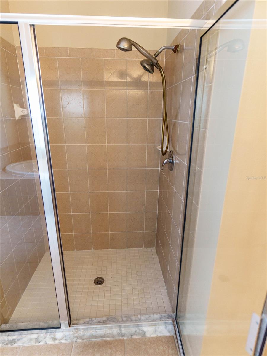 Master Walk in Shower