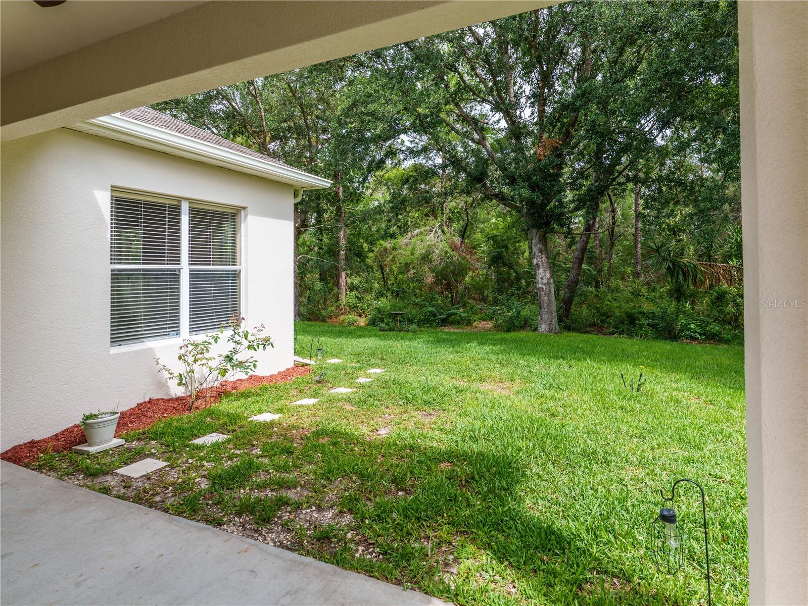 view of rear yard