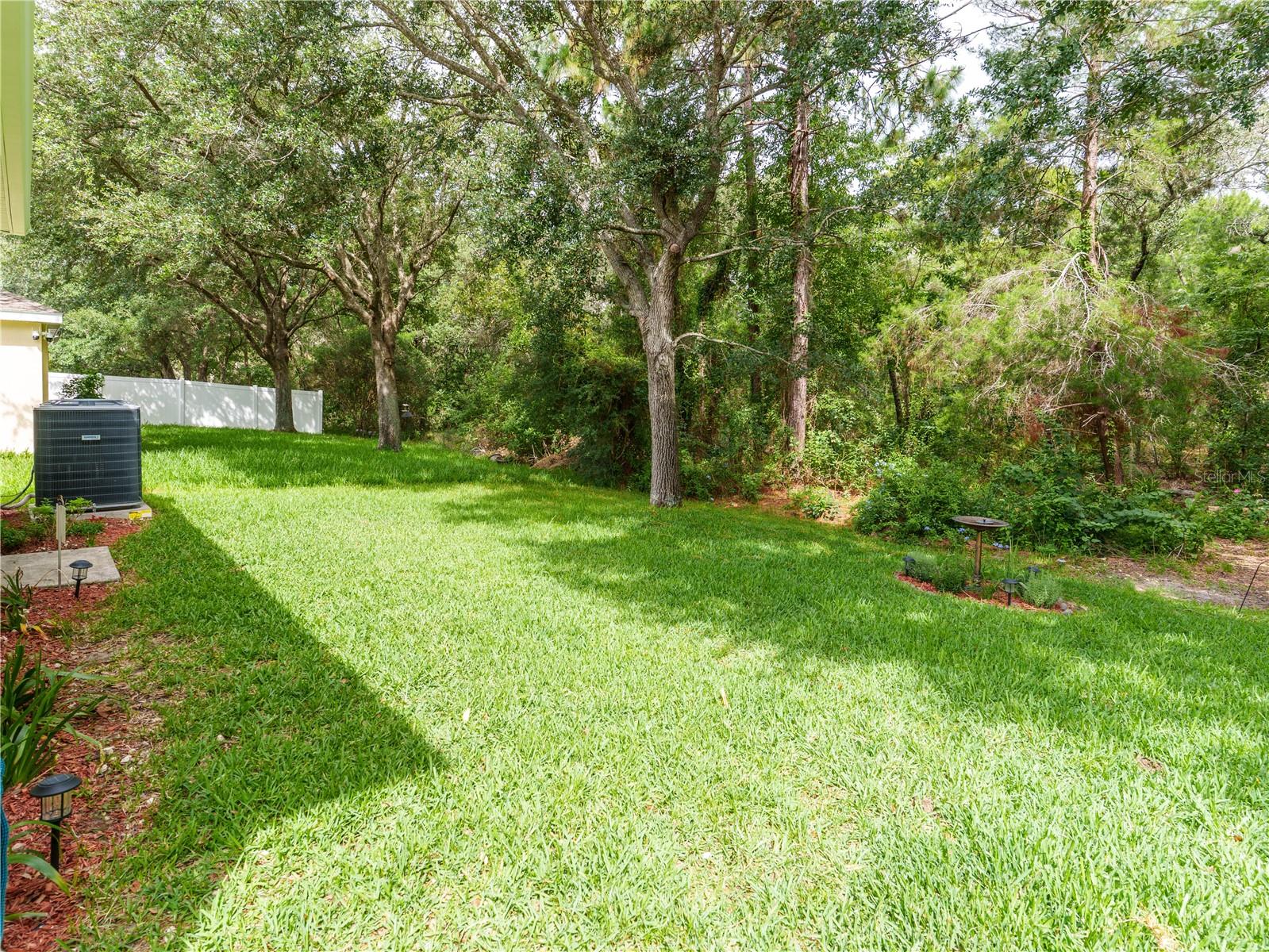 rear yard