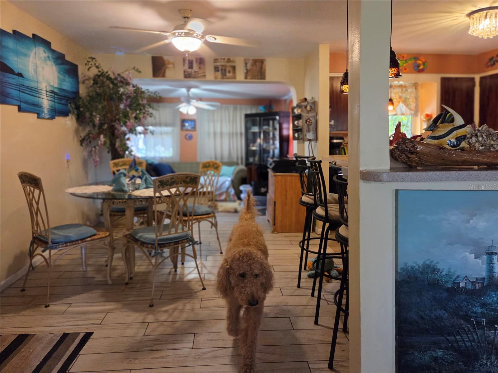 Dining Room dog not included