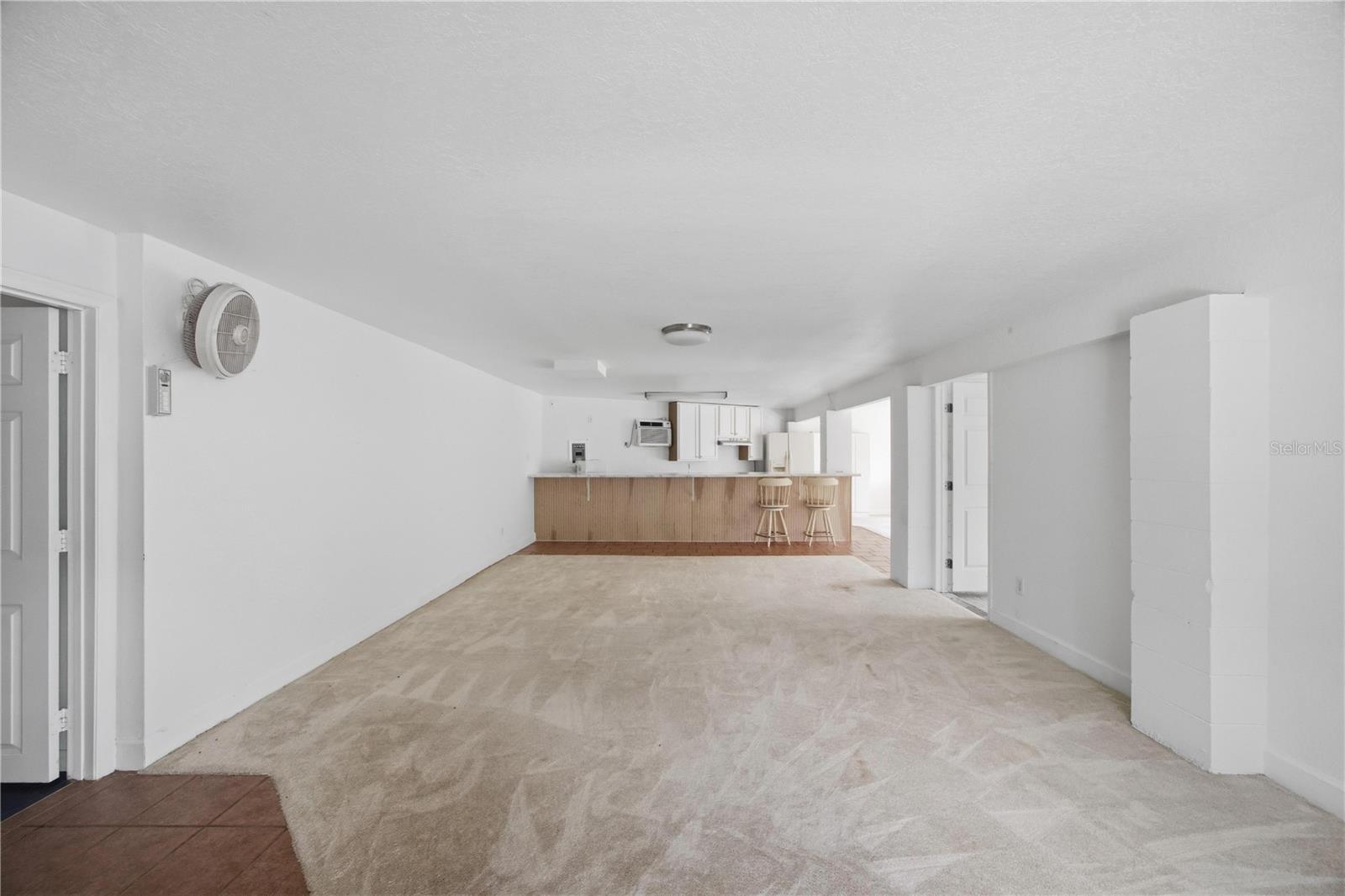 Basement/Flexroom