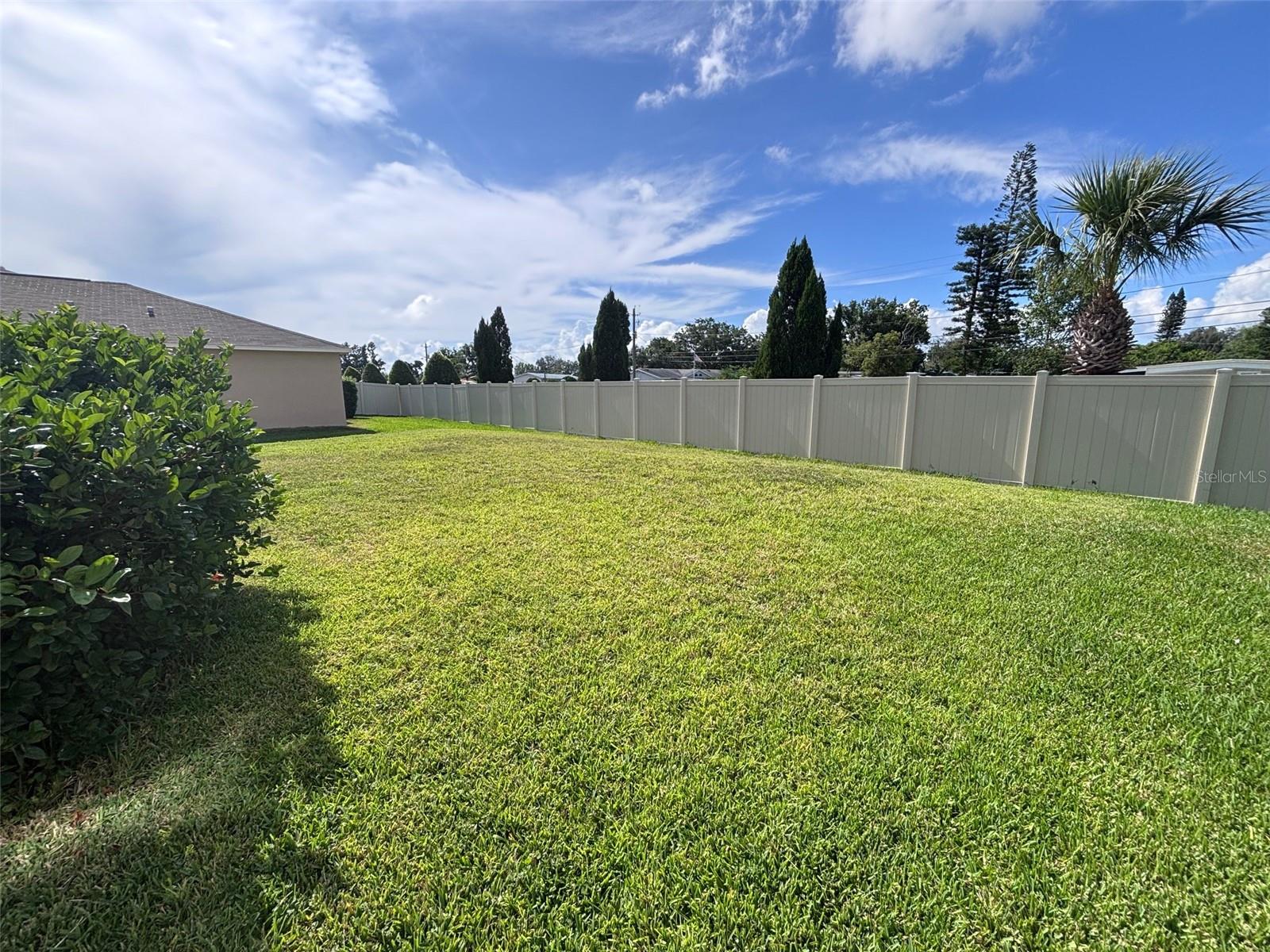 Spacious backyard