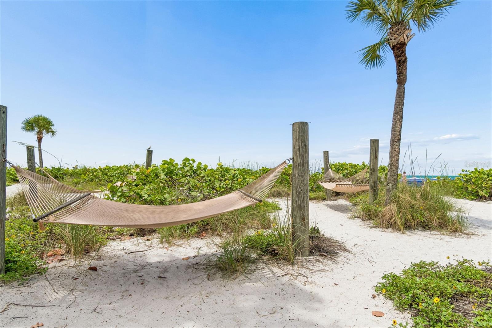 Hammocks on the beach