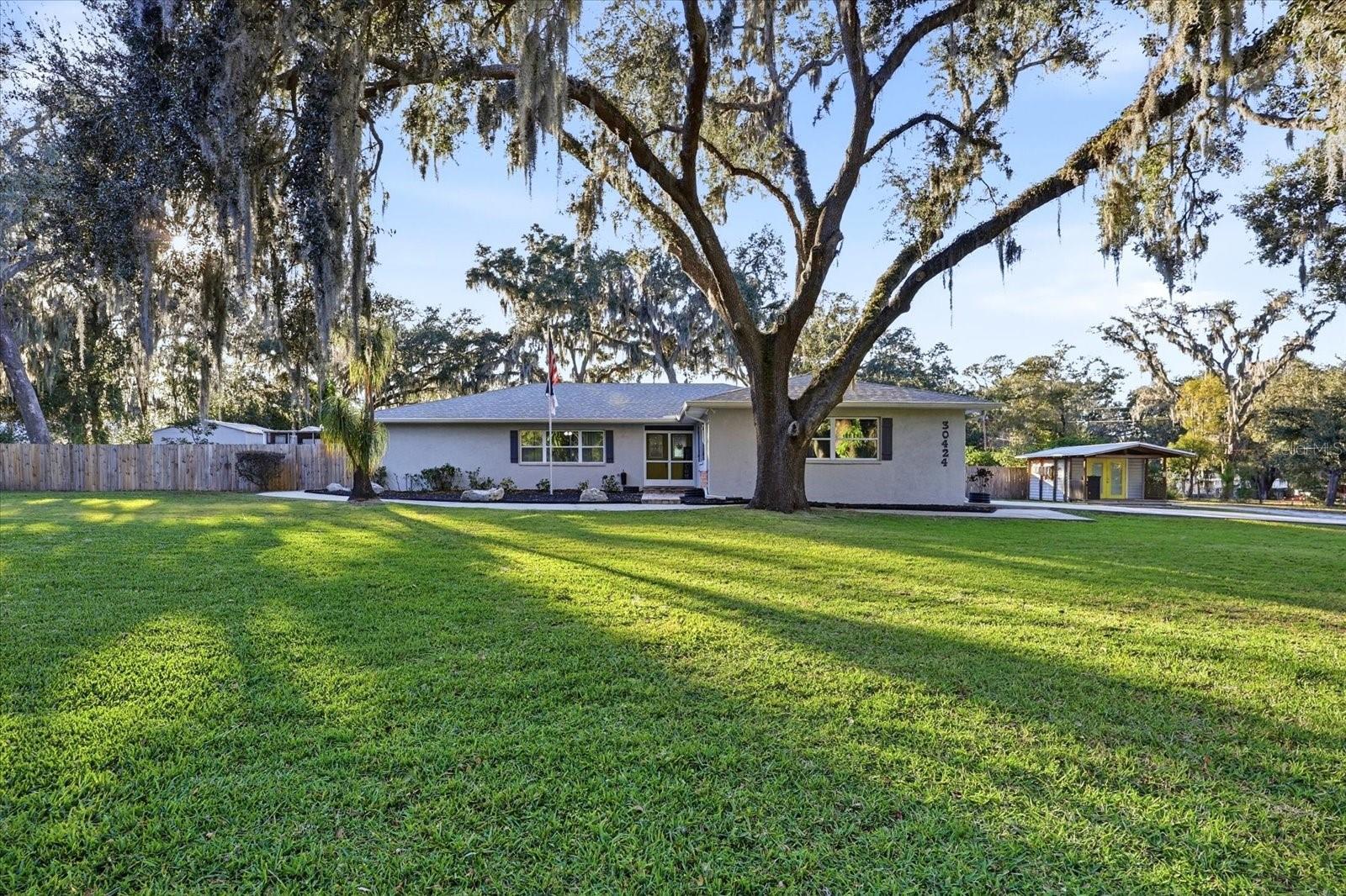 Front Yard View