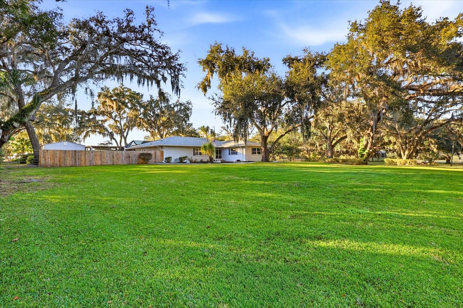 Front Yard