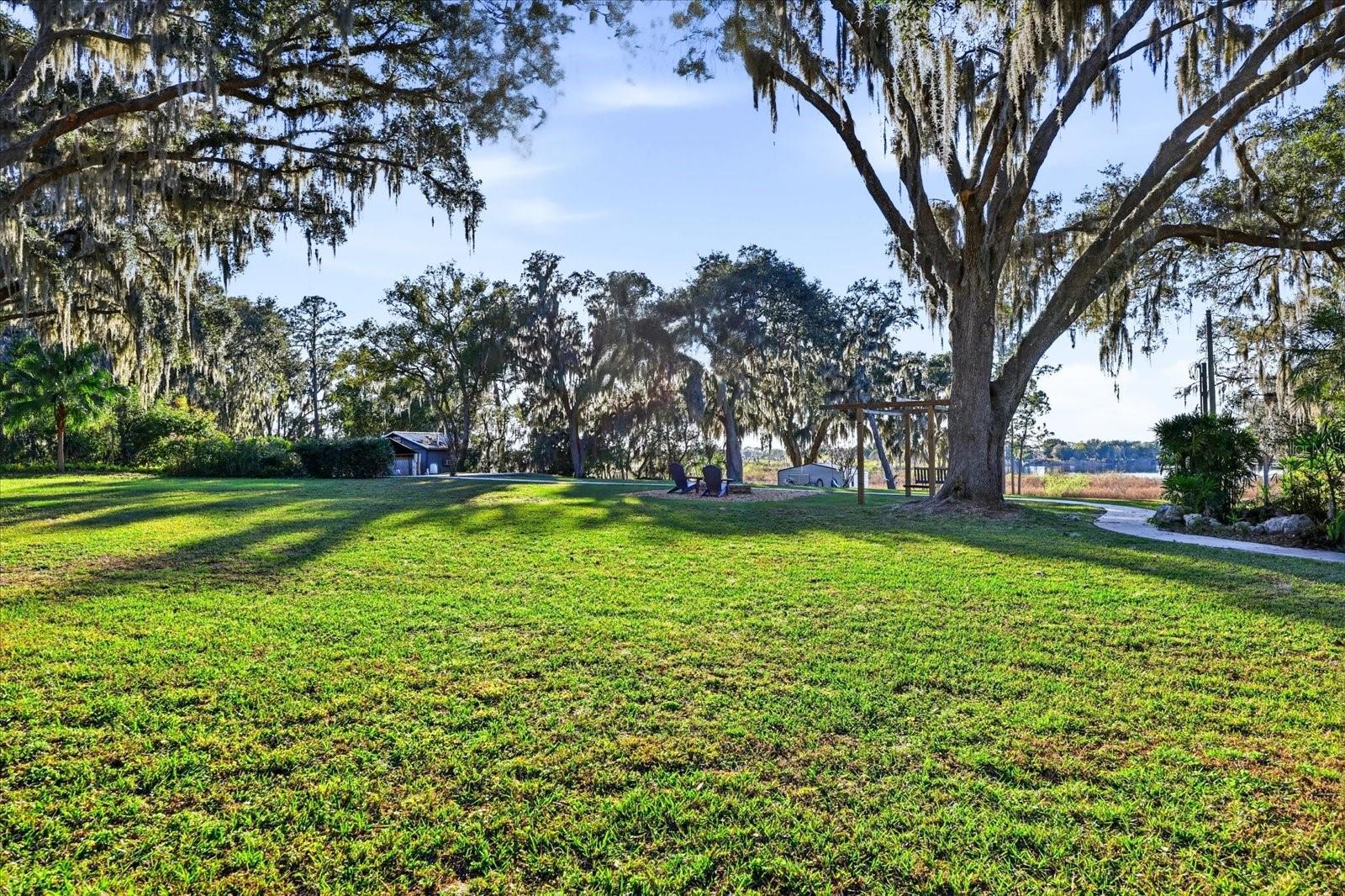 Back Yard