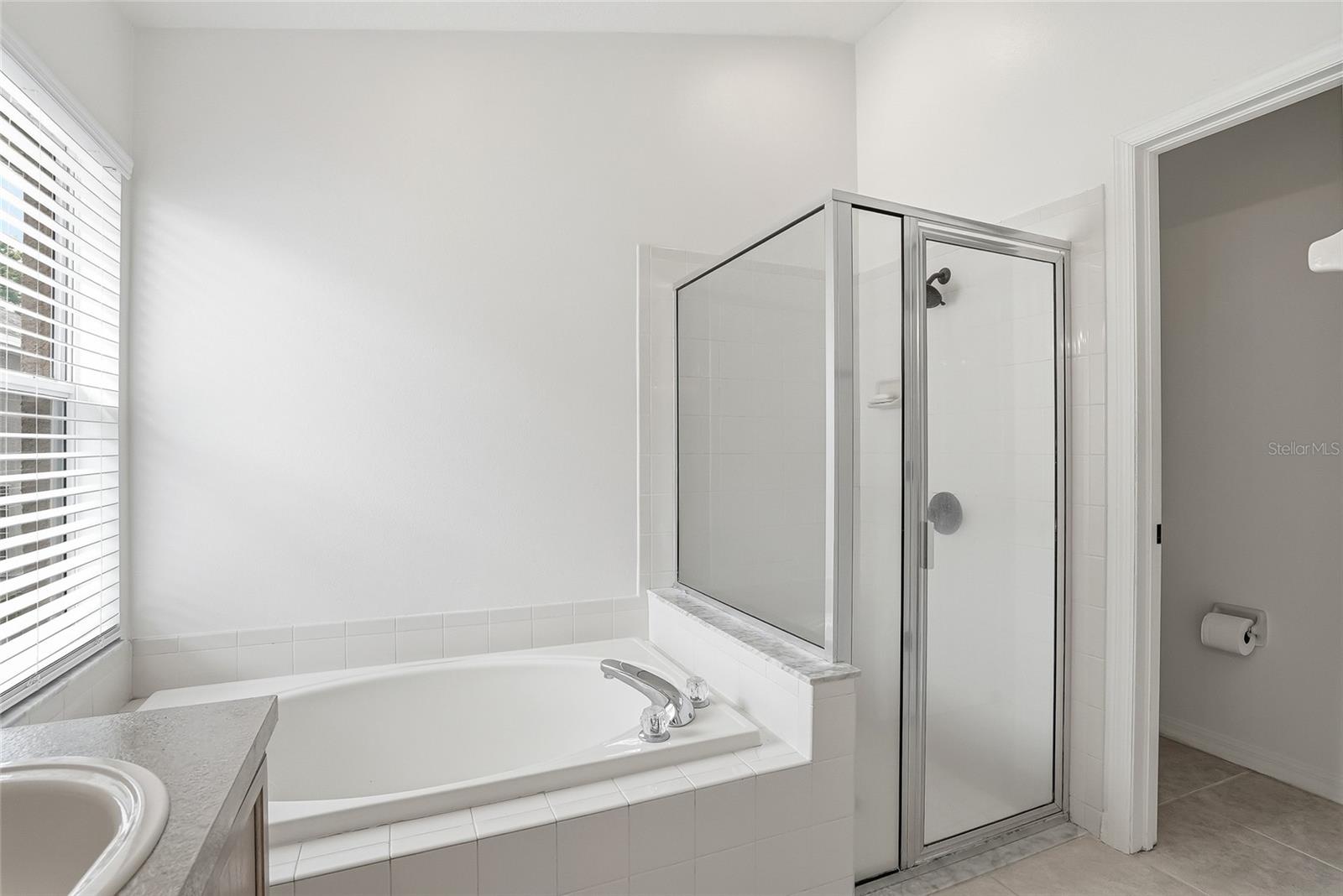 master bathroom