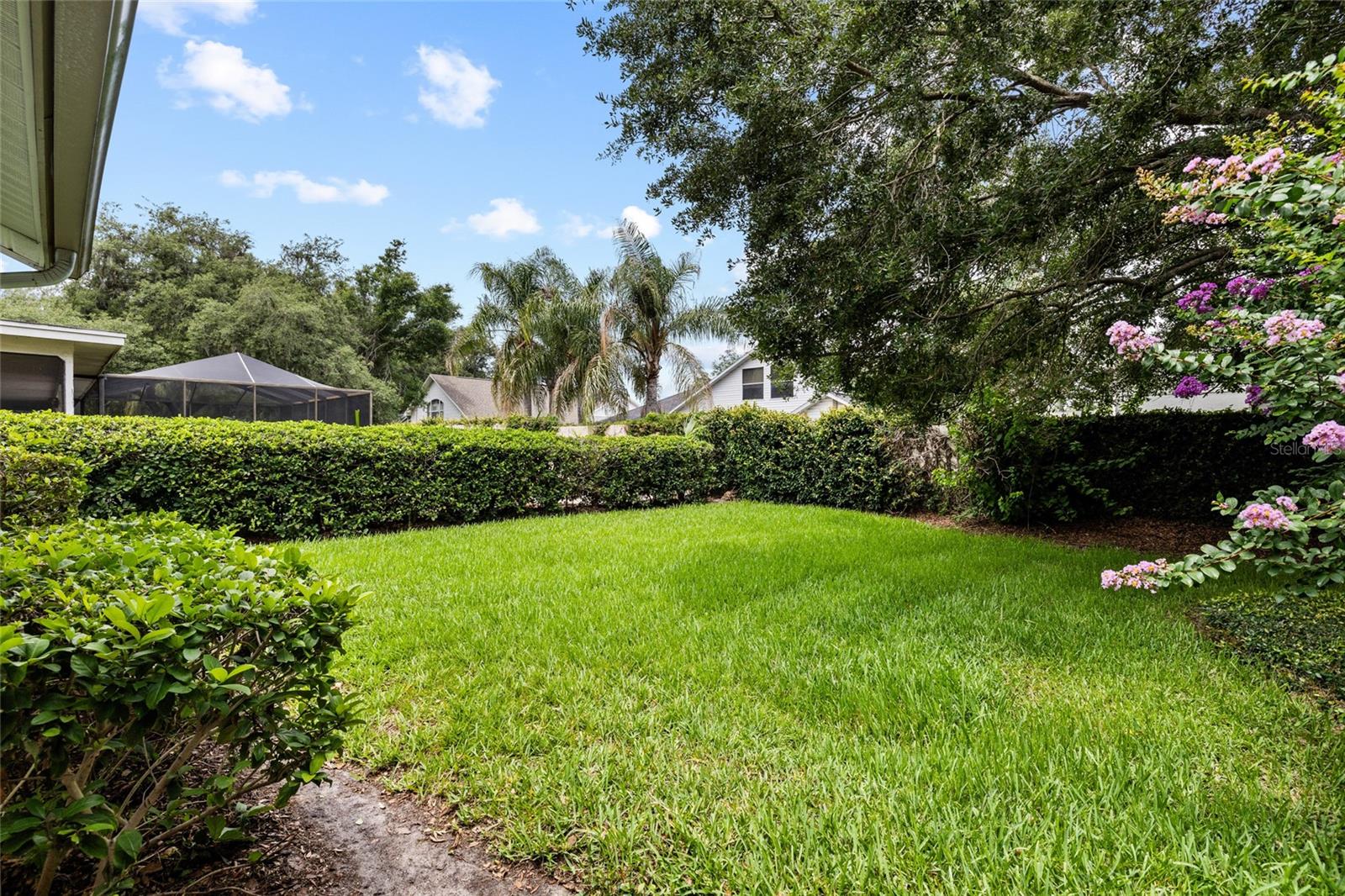 Huge Yard