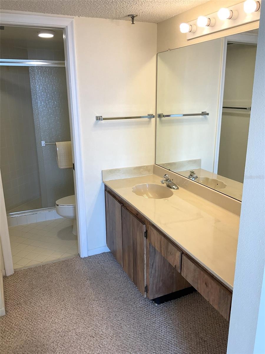 Primary Bath separate vanity area and walk-in closet