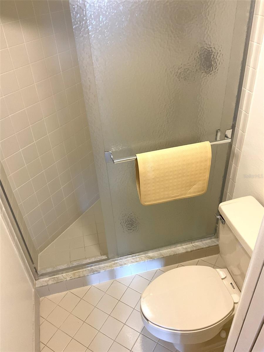 Primary Bathroom - Toilet and Shower area