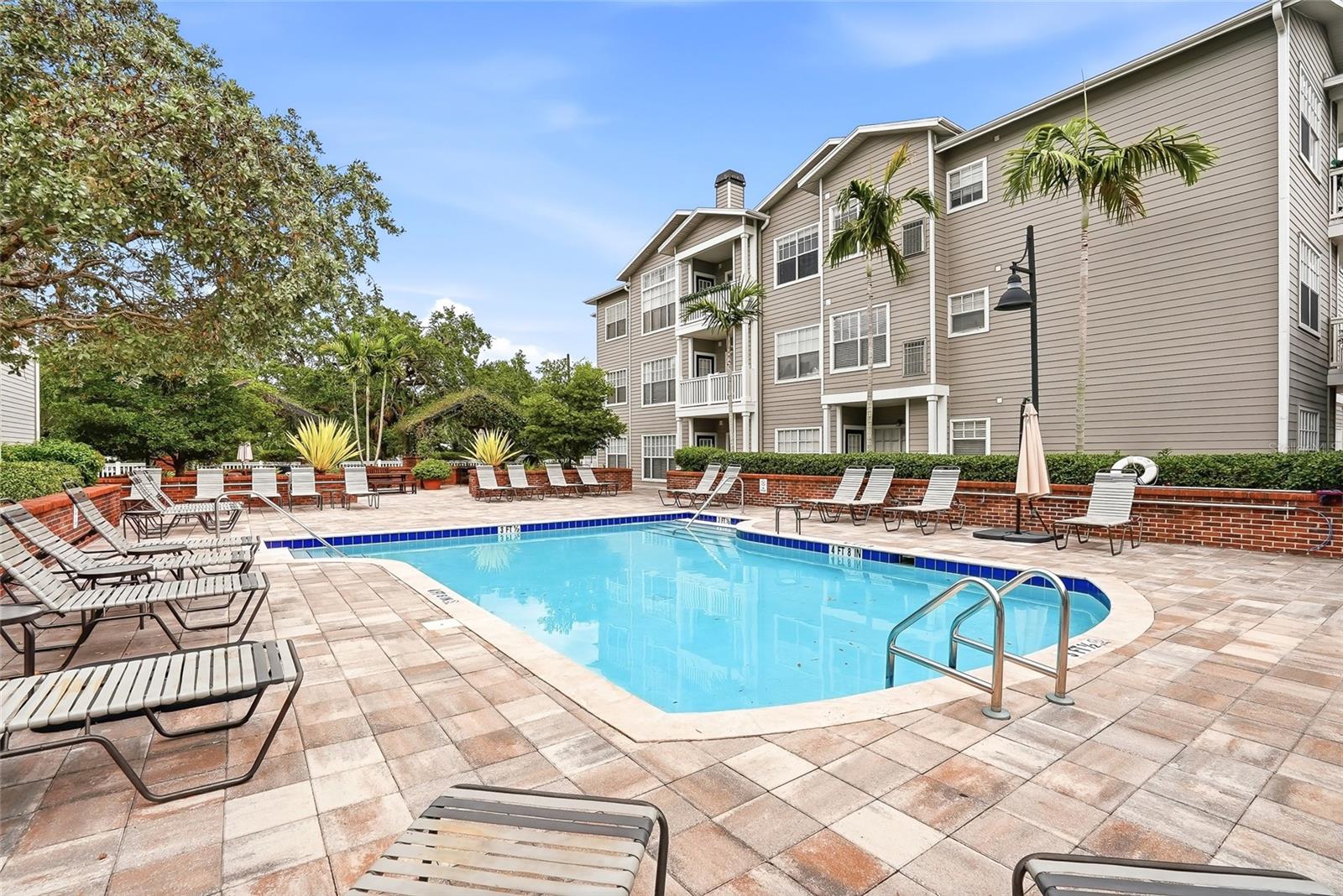 Beautiful Pool and outdoor loungers