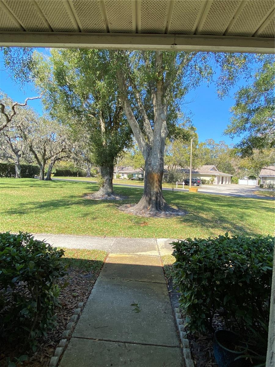 View from front door