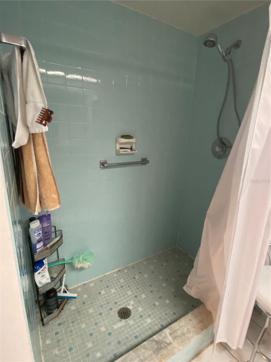 Primary bath with shower