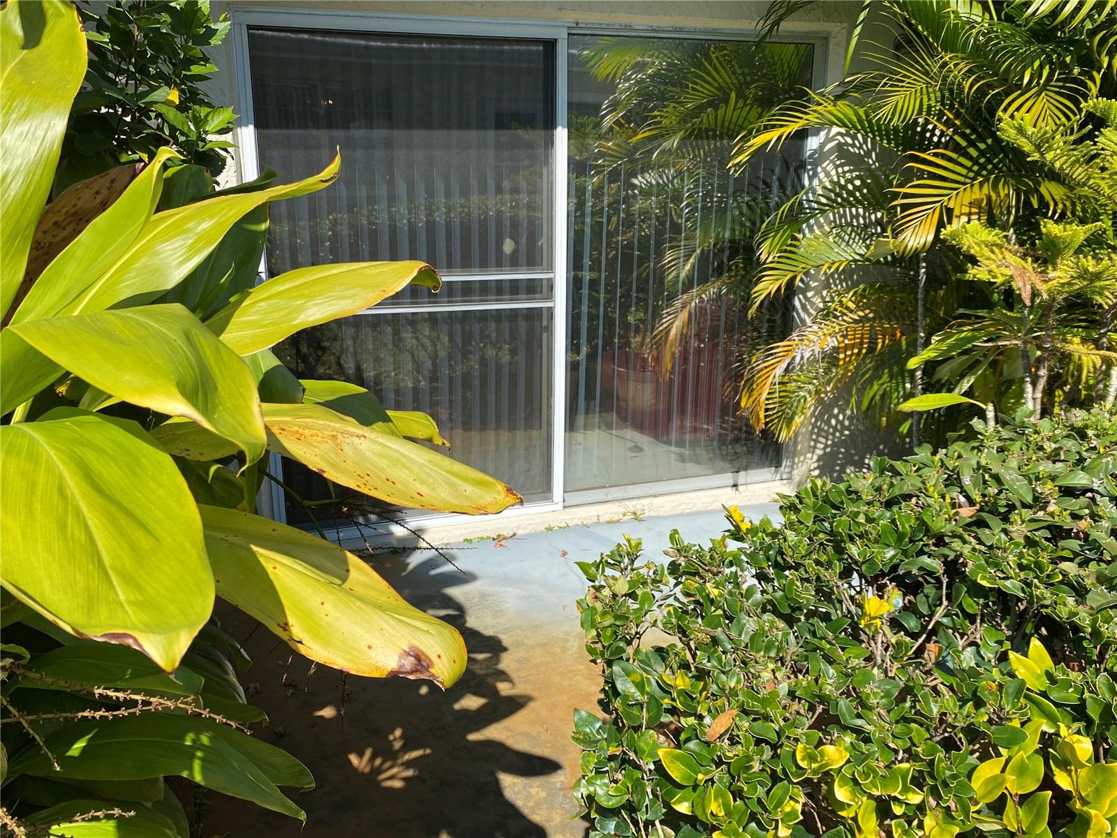 Rear patio